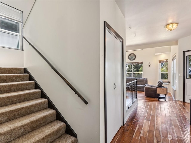 stairway featuring wood-type flooring