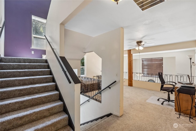 stairs with ceiling fan and carpet floors