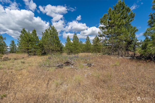 Listing photo 3 for 7LOT Prairie Ln, Creston WA 99117