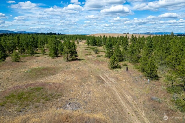5LOT Prairie Ln, Creston, WA 99117 - photo 4
