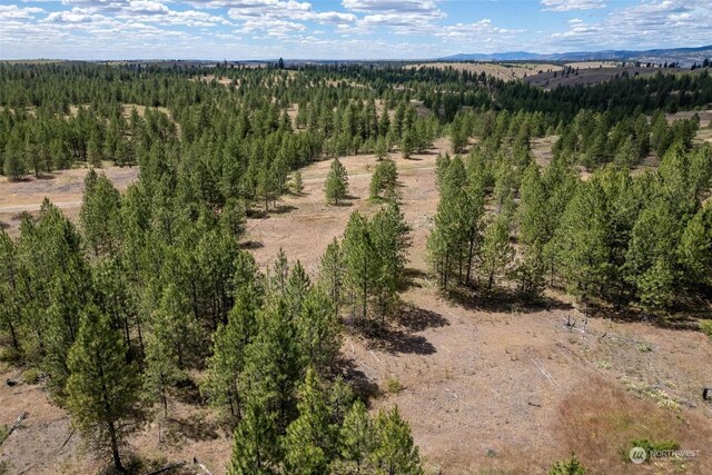 5LOT Prairie Ln, Creston, WA 99117 - photo 5