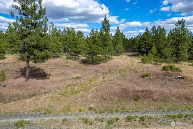 4LOT Prairie Ln, Creston, WA 99117 - photo 4
