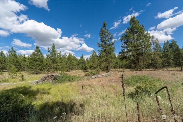 4LOT Prairie Ln, Creston, WA 99117 - photo 5