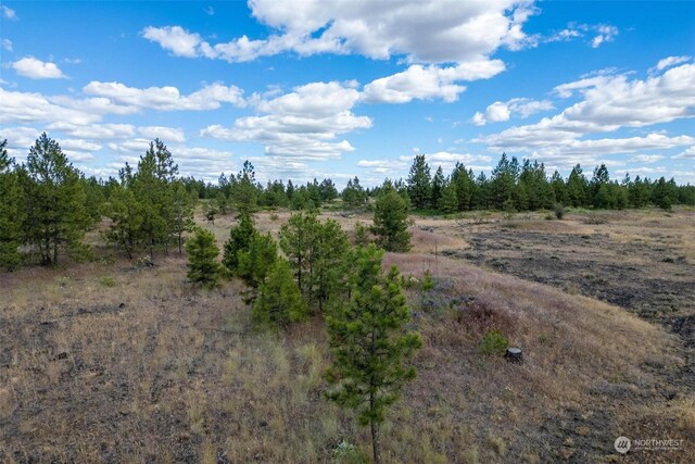 4LOT Prairie Ln, Creston, WA 99117 - photo 6