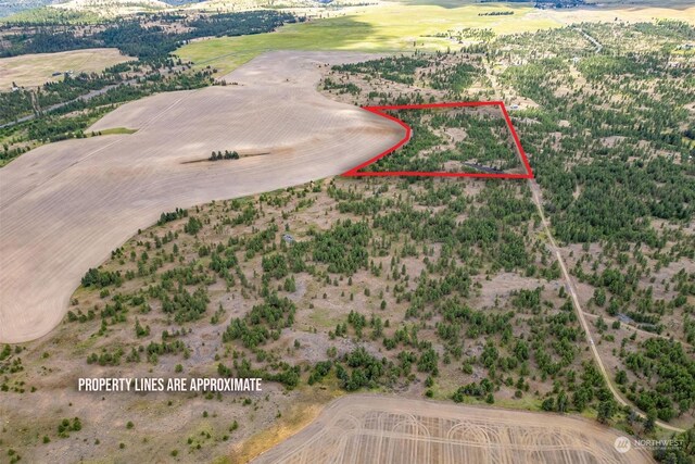 4LOT Prairie Ln, Creston, WA 99117 - photo 9