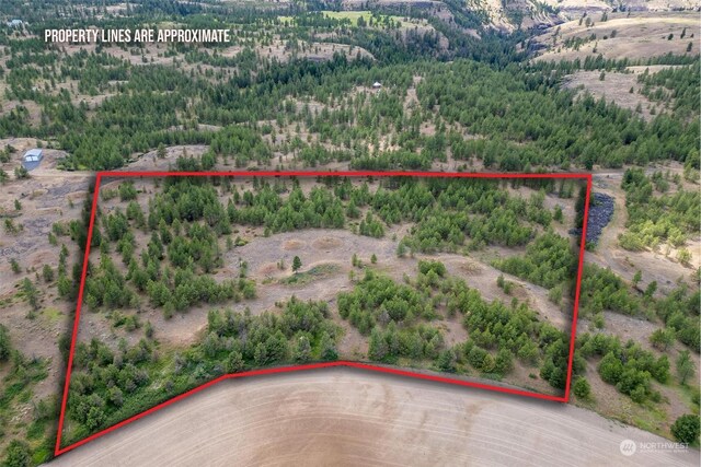 4LOT Prairie Ln, Creston, WA 99117 - photo 11