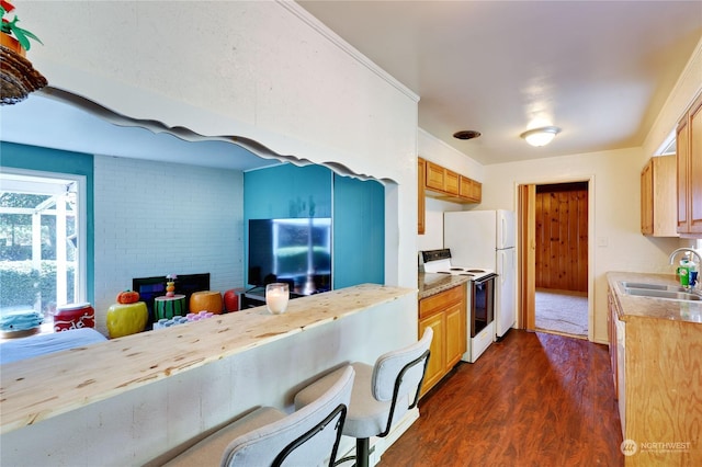 kitchen featuring dark hardwood / wood-style flooring, sink, and white range with electric stovetop