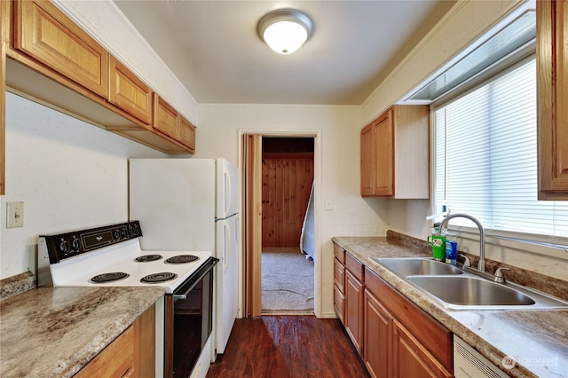 kitchen featuring dark hardwood / wood-style floors, dishwasher, sink, and range with electric stovetop