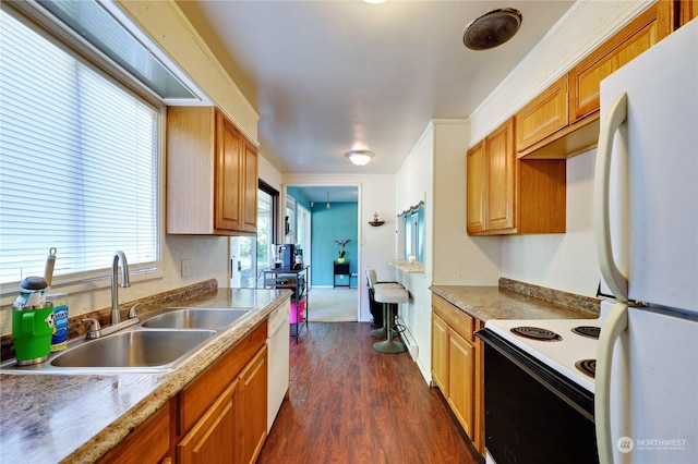 kitchen with dark hardwood / wood-style flooring, sink, and white appliances