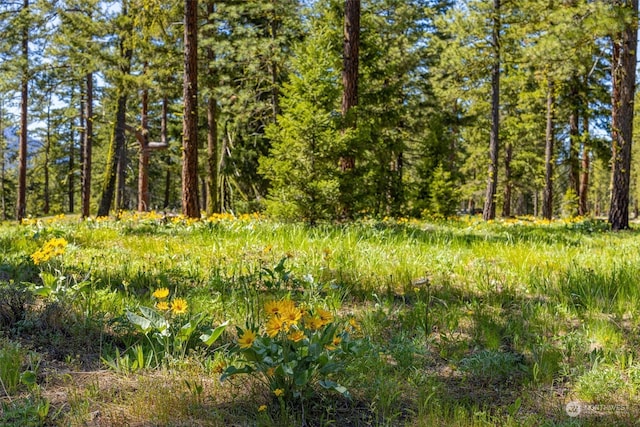 80 Plateau Loop, Cle Elum, WA 98922 - photo 38