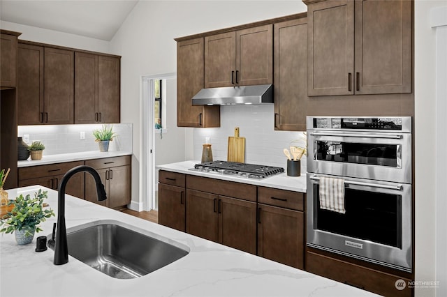 kitchen with tasteful backsplash, under cabinet range hood, appliances with stainless steel finishes, vaulted ceiling, and a sink