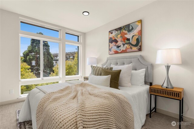 view of carpeted bedroom