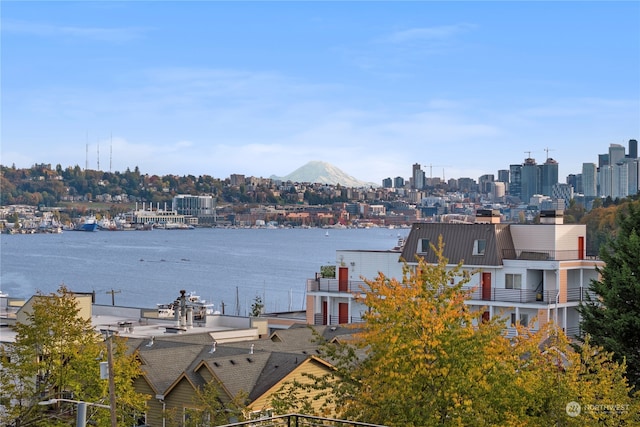 water view featuring a mountain view