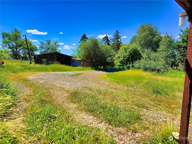 view of yard with dirt driveway