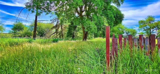 view of local wilderness