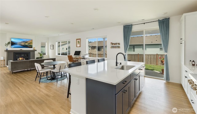 4429 Hibiscus Cir SW, Port Orchard, WA 98367 - kitchen with a sink, a glass covered fireplace, light wood-style flooring, and plenty of natural light