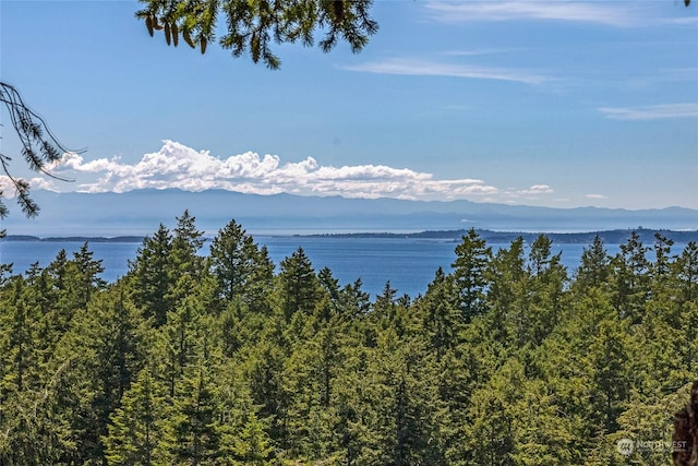 179 High Haro Dr, Friday Harbor WA, 98250 land for sale