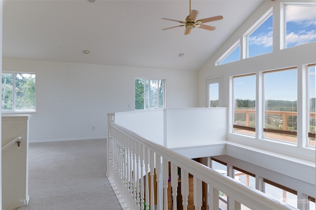 hallway with high vaulted ceiling, a healthy amount of sunlight, and light carpet