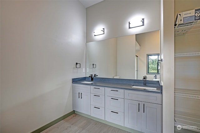 bathroom with vanity and hardwood / wood-style floors