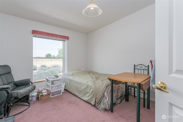 bedroom with carpet floors