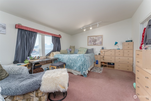 bedroom featuring carpet floors and rail lighting