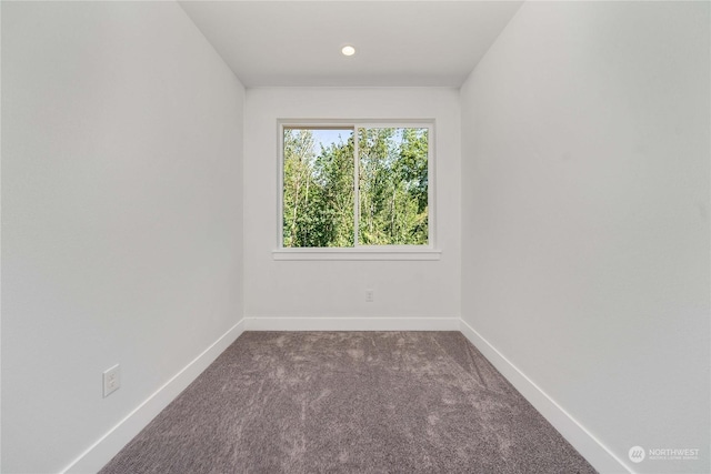 unfurnished room with carpet