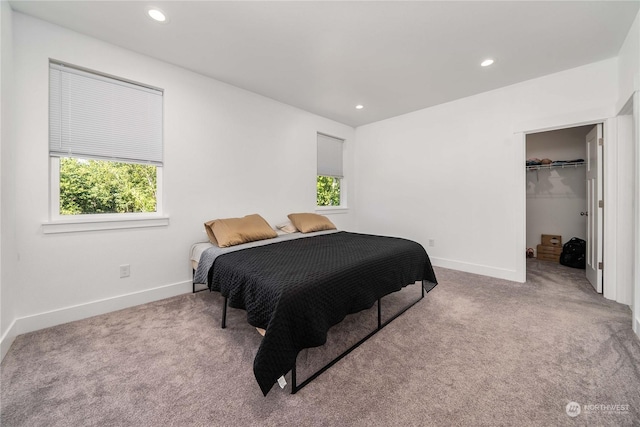 bedroom featuring a closet, multiple windows, a spacious closet, and light colored carpet