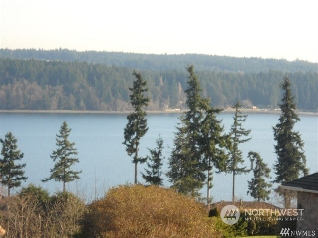 12608 101st Avenue Ct NW, Gig Harbor WA, 98329 land for sale