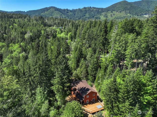 bird's eye view with a mountain view