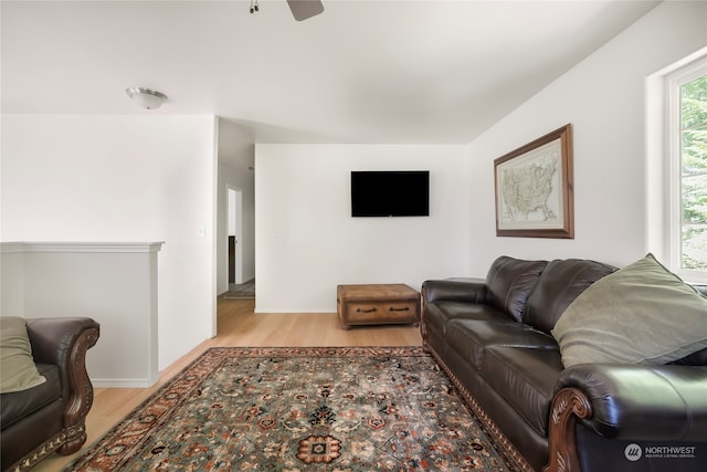 living room featuring ceiling fan and light wood-type flooring