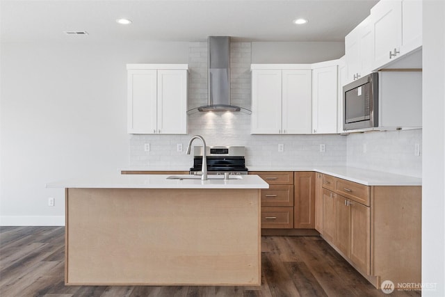 kitchen with tasteful backsplash, appliances with stainless steel finishes, dark wood-style flooring, wall chimney range hood, and a sink