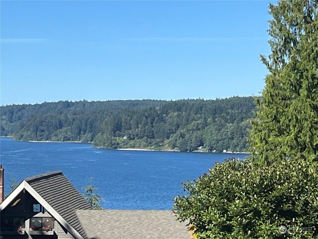 13403 6th Ave NW, Gig Harbor, WA 98332 - photo 2