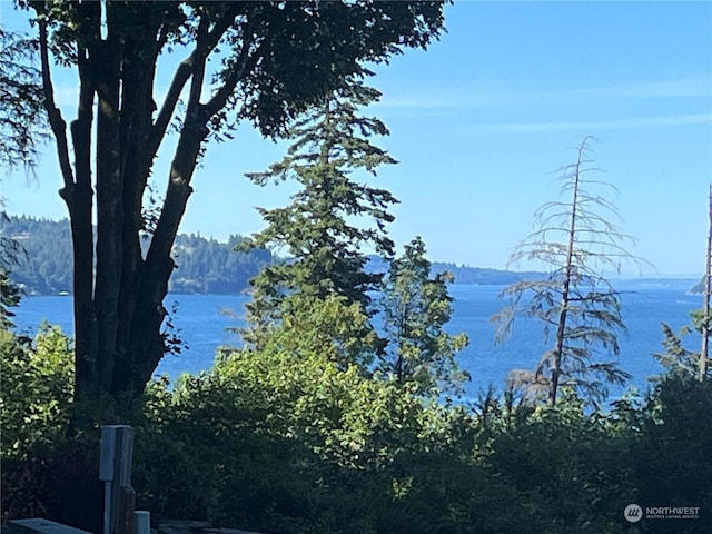 13403 6th Ave NW, Gig Harbor, WA 98332 - photo 5
