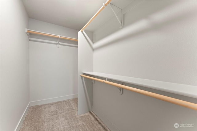 walk in closet with light carpet