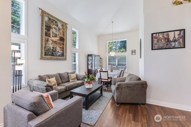 living room featuring a high ceiling and dark hardwood / wood-style floors