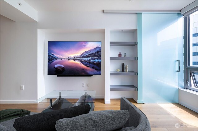 living room with light hardwood / wood-style floors and built in features