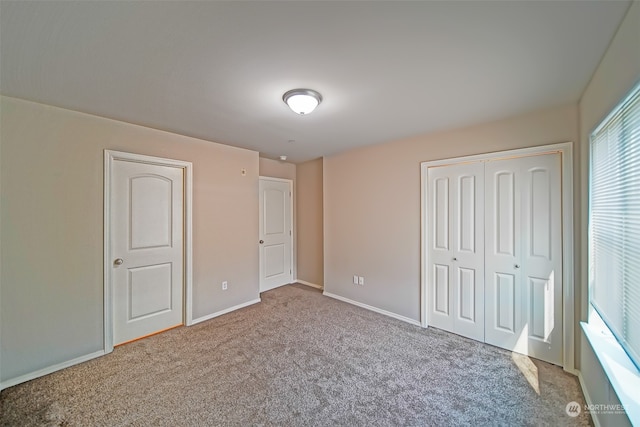 unfurnished bedroom featuring carpet