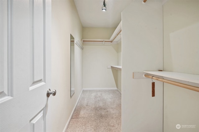 walk in closet featuring light colored carpet