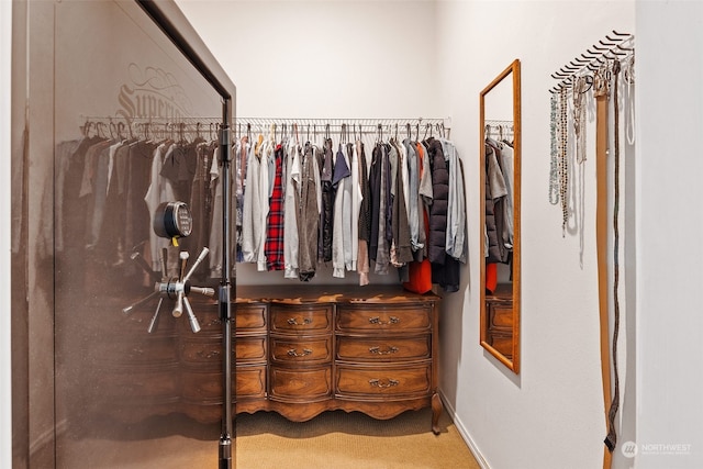 walk in closet featuring carpet floors