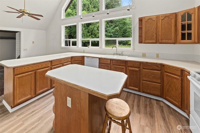 kitchen with dishwasher, sink, a center island, and light hardwood / wood-style floors