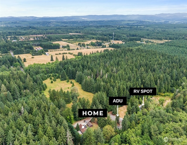 bird's eye view with a mountain view