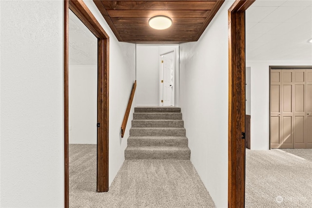 stairway featuring wooden ceiling and carpet floors