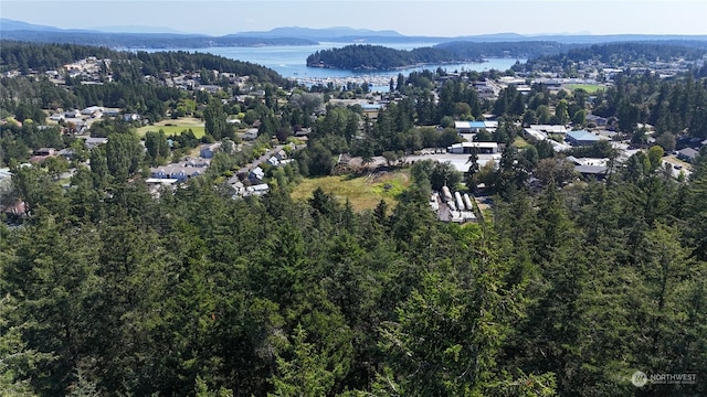 1038 Harbor View Pl, Friday Harbor, WA 98250