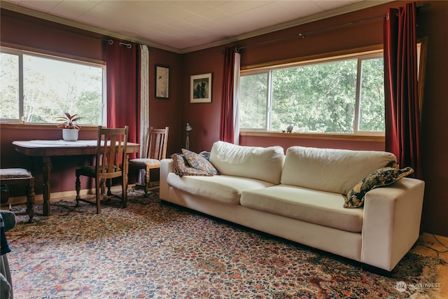 living room with crown molding