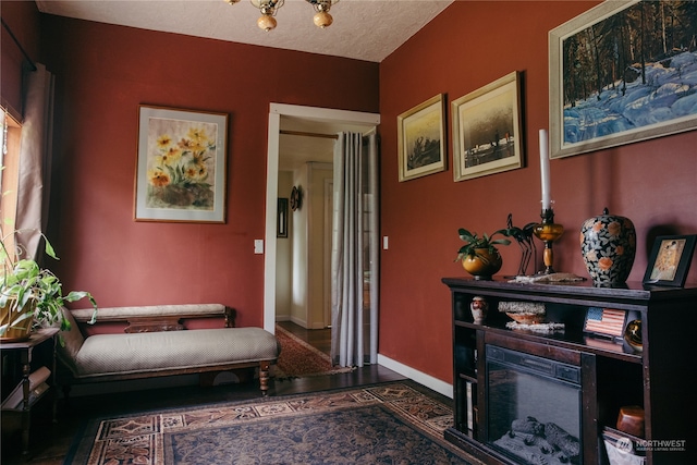 living area featuring dark hardwood / wood-style flooring and a textured ceiling