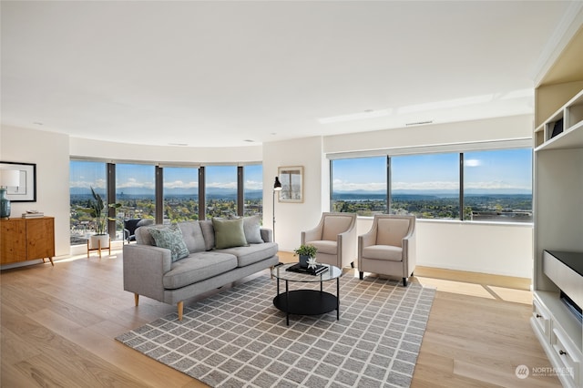 living room featuring light hardwood / wood-style flooring