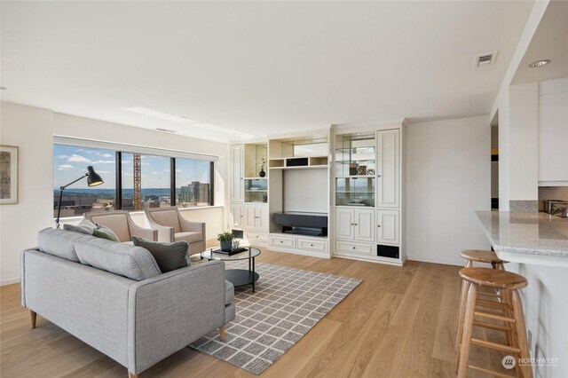 living room featuring light hardwood / wood-style floors