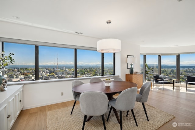 dining space with light hardwood / wood-style floors and plenty of natural light