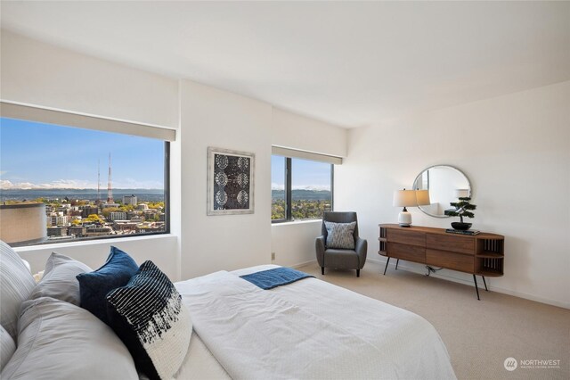 bedroom featuring carpet floors