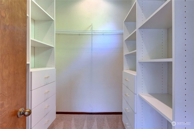 walk in closet with light colored carpet